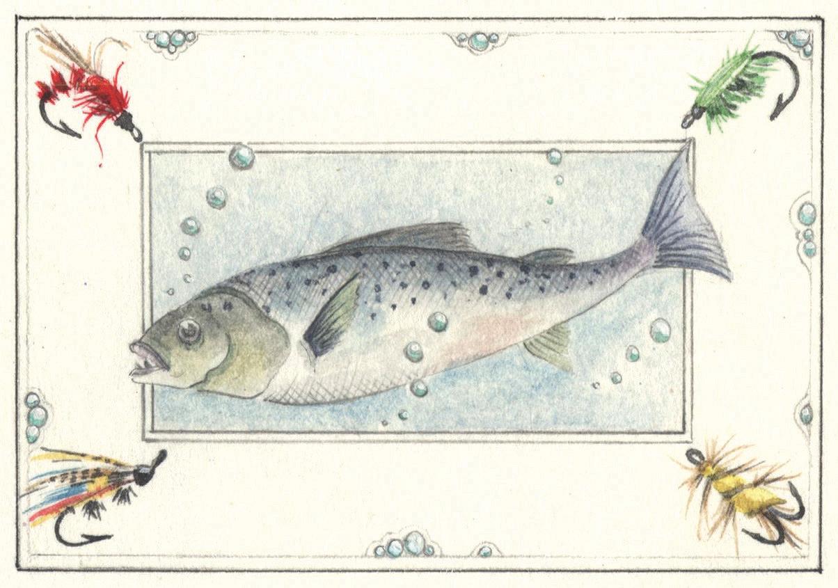 Trout